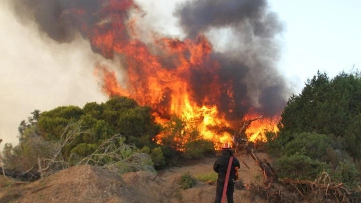 Συναγερμός και στην Εύβοια από εκδήλωση πυρκαγιάς